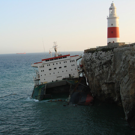 Image of Fedra gib